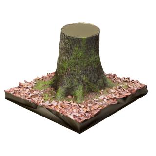 Tree Trunk RAW 3D Scan #2